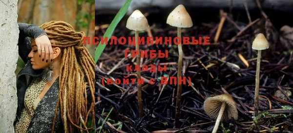 ешки Касимов