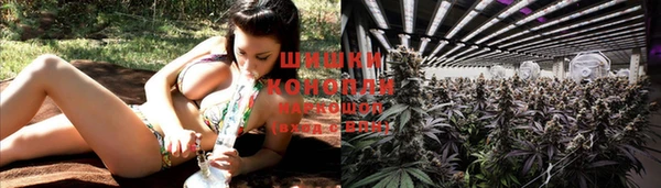 ешки Касимов