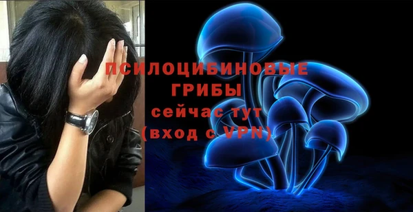 гашишное масло Каменногорск